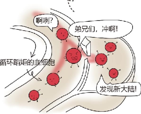 get - 2024-11-07t143658.846