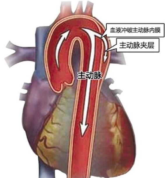 get - 2024-11-07t143709.602