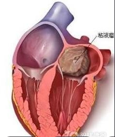 get - 2024-11-07t143924.324