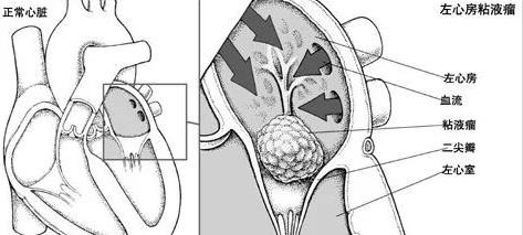 get - 2024-11-07t143959.878