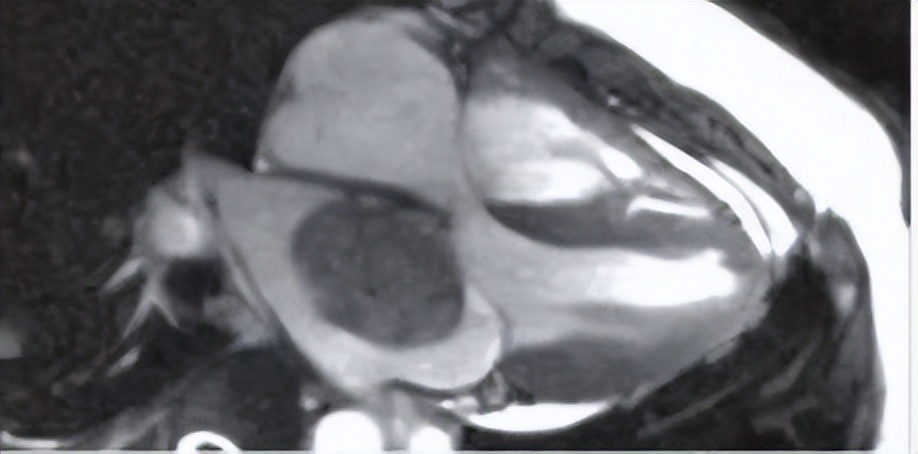 get - 2024-11-07t144008.464