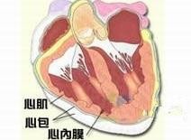 get - 2024-11-07t144142.612