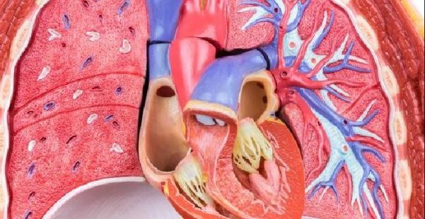 get - 2024-11-07t144154.043