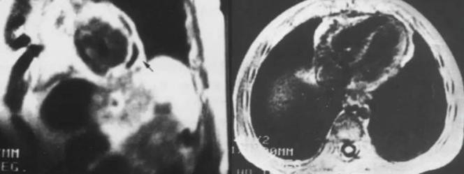 get - 2024-11-07t144226.862