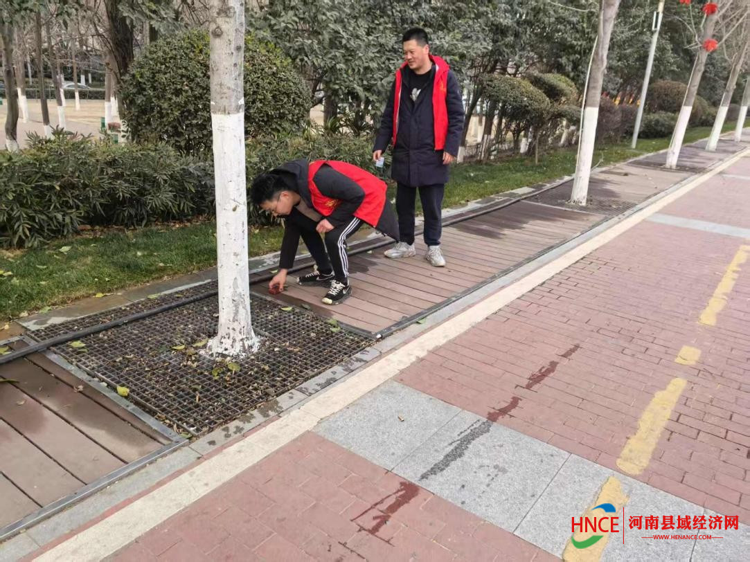 get - 2025-04-08t170629.790