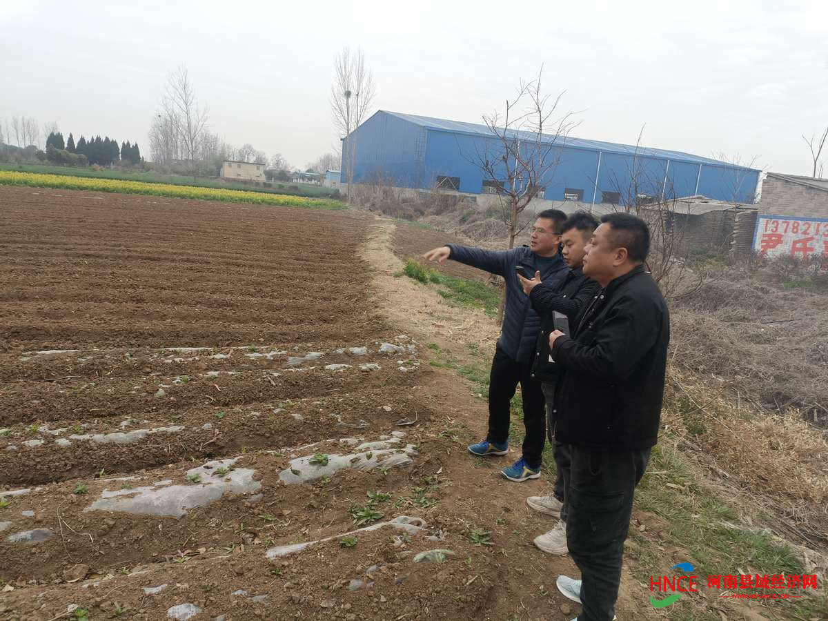 get - 2025-03-14t164501.656