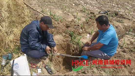 微信图片_20250617091345