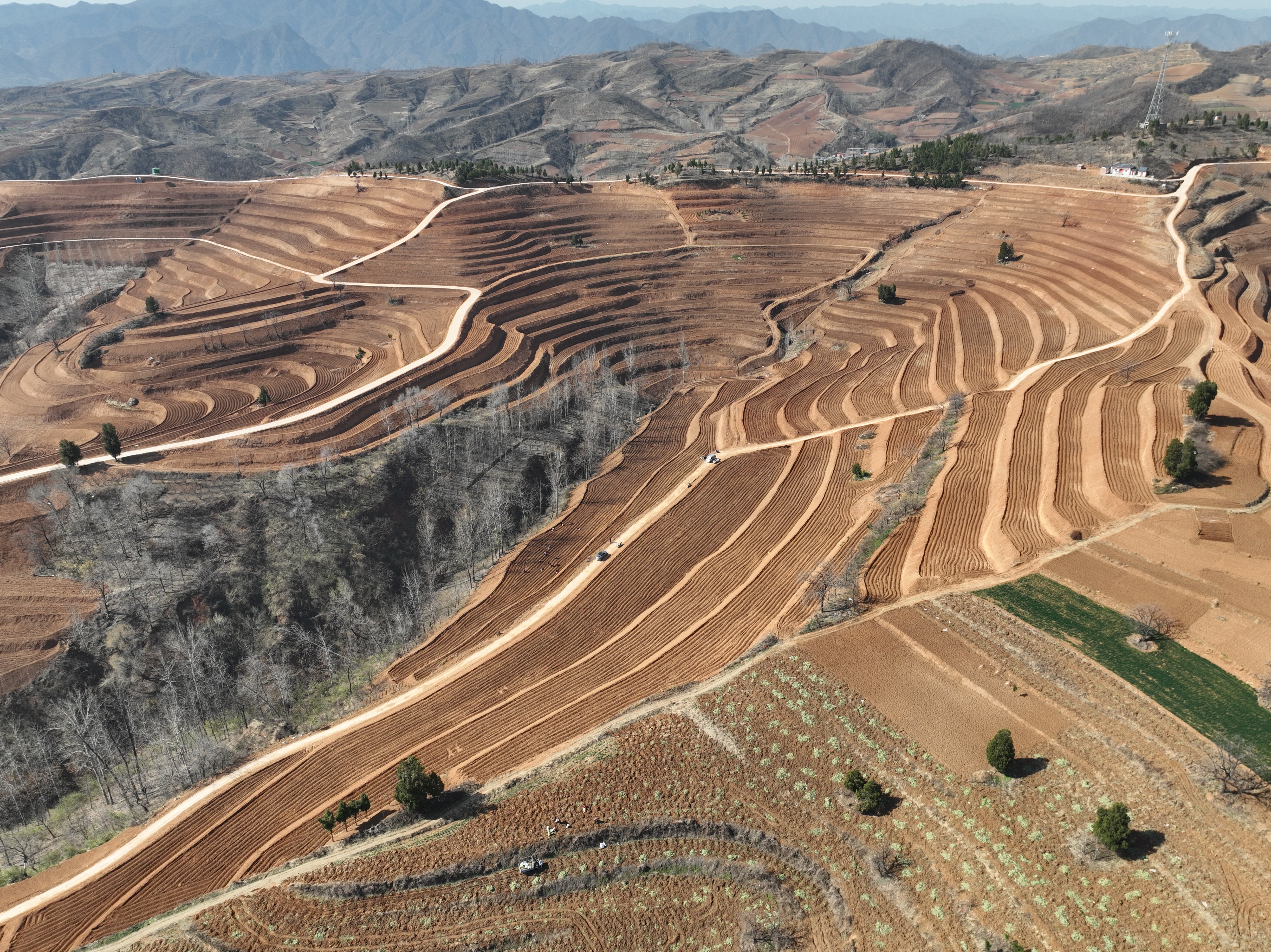 微信图片_20250324104232