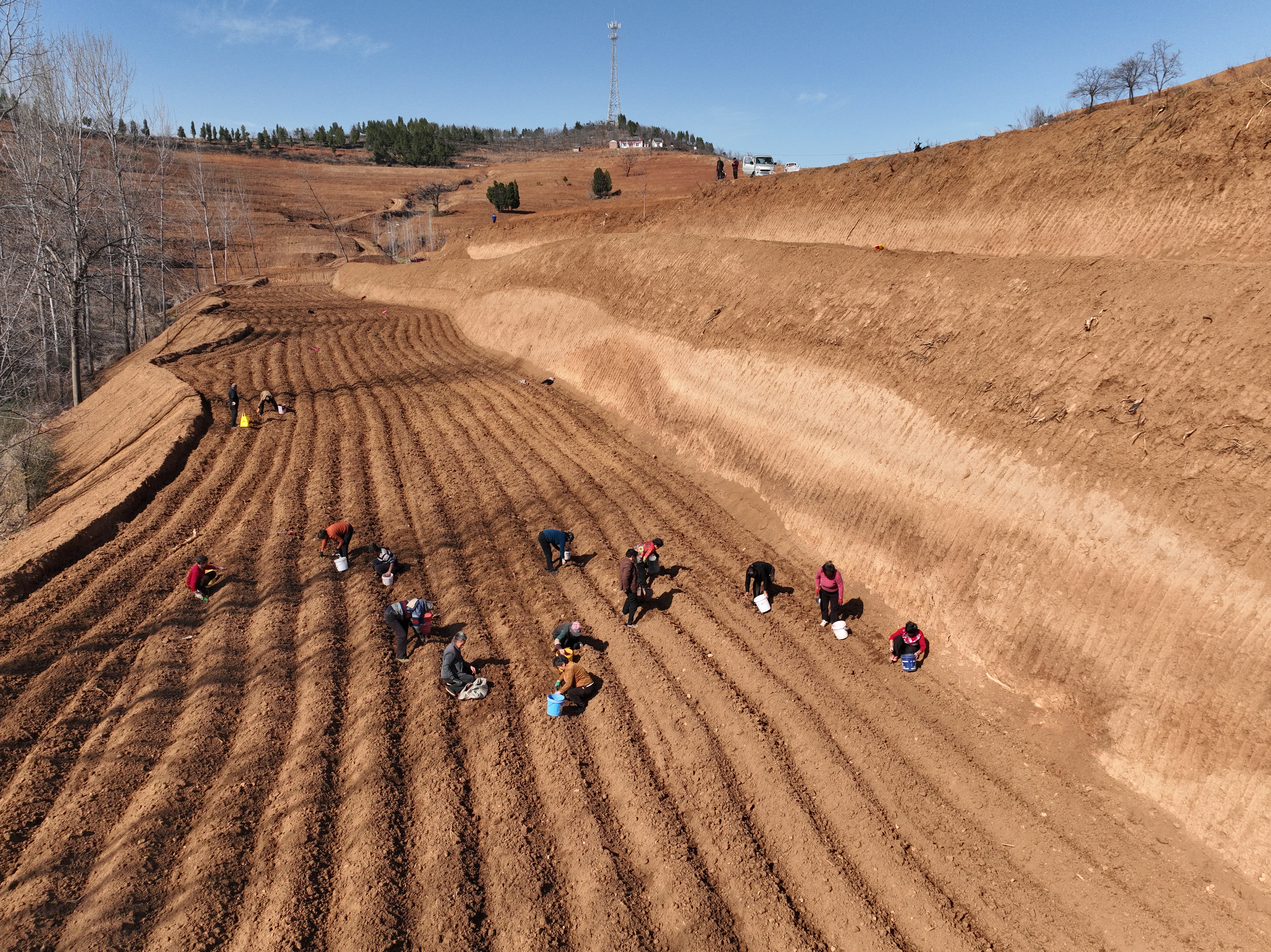 微信图片_20250324104250