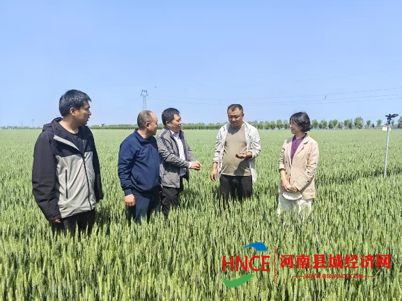 get - 2025-04-24t161036.653