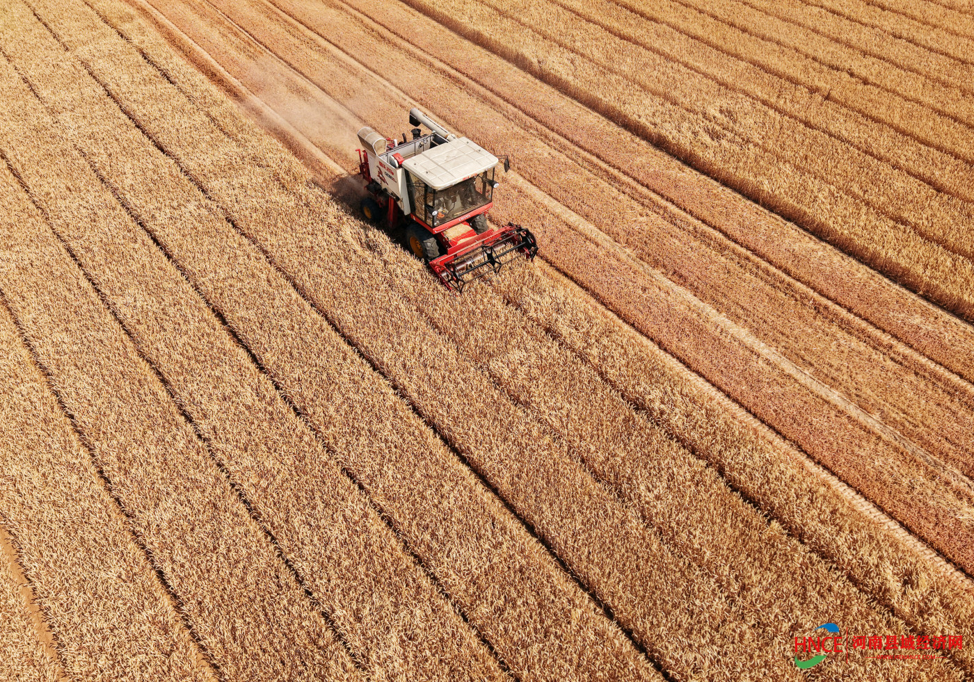 微信图片_20250528124500