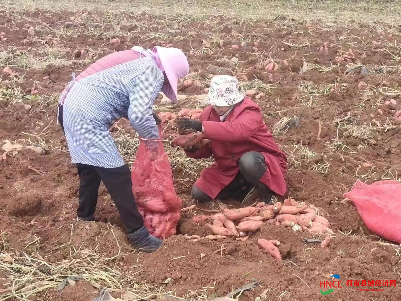 微信图片_202210281713371