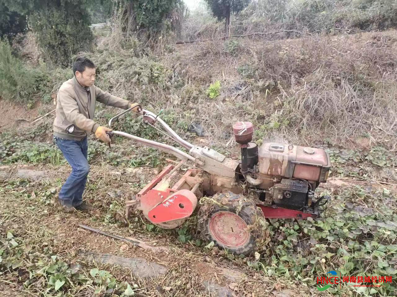 微信图片_202210281713372