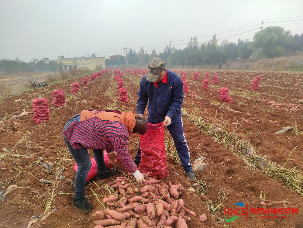 屏幕截图 2022-10-28 171525