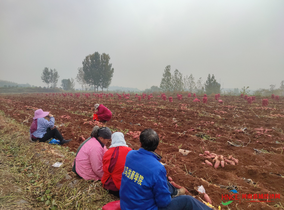 屏幕截图 2022-10-28 171611